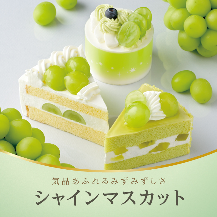 SP画像