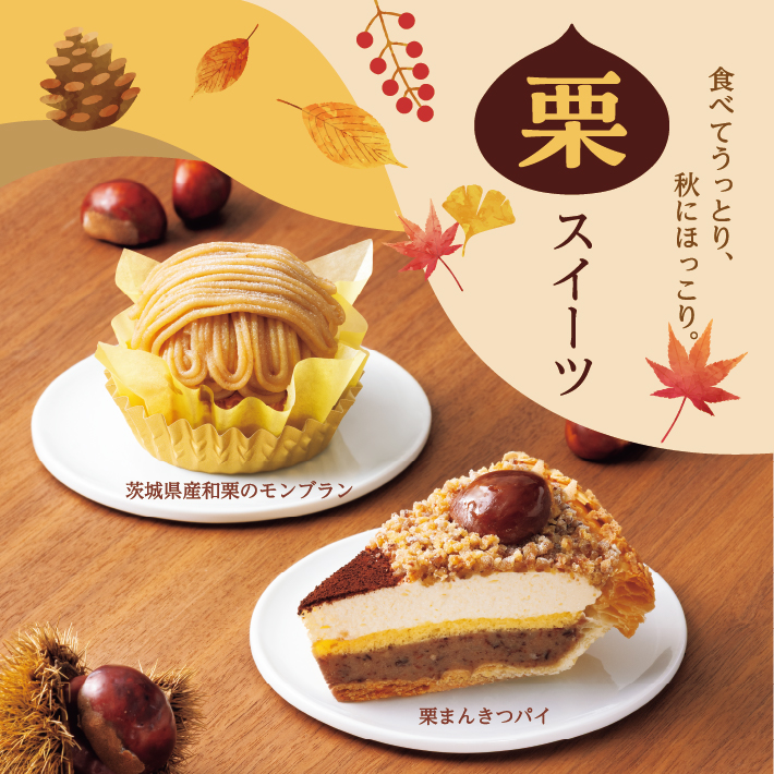 SP画像